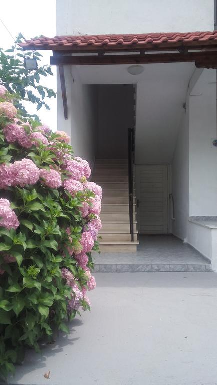 Georgoulas Apartments Паралия-Скотинас Экстерьер фото